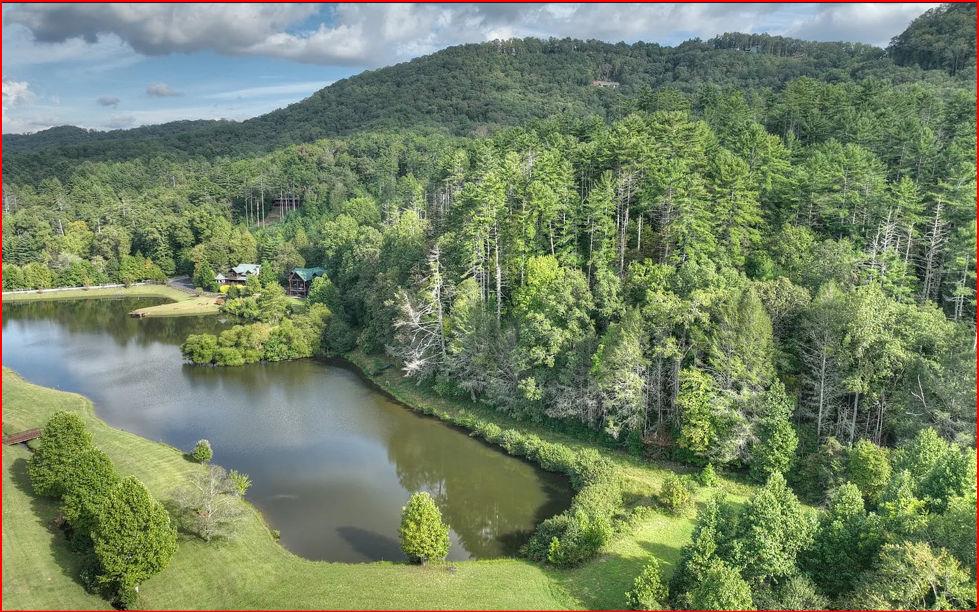 0 Walker Ridge Way Mineral Bluff GA 30559