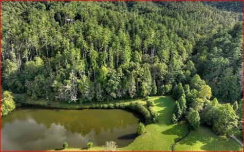 0 Walker Ridge Way Mineral Bluff GA 30559