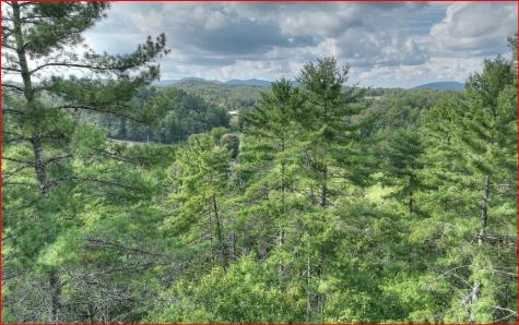 0 Walker Ridge Way Mineral Bluff GA 30559