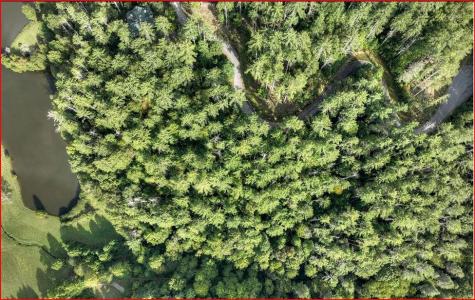 0 Walker Ridge Way Mineral Bluff GA 30559
