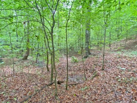39.2AC Falling Pines Road Dahlonega GA 30533