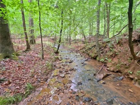 39.2AC Falling Pines Road Dahlonega GA 30533
