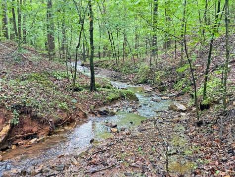 39.2AC Falling Pines Road Dahlonega GA 30533
