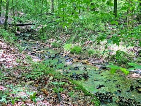 39.2AC Falling Pines Road Dahlonega GA 30533