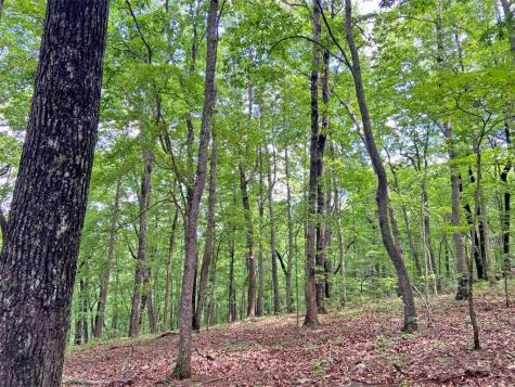 39.2AC Falling Pines Road Dahlonega GA 30533