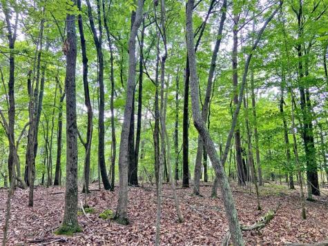 39.2AC Falling Pines Road Dahlonega GA 30533