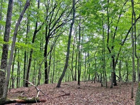 39.2AC Falling Pines Road Dahlonega GA 30533
