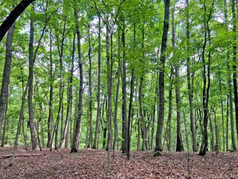 39.2AC Falling Pines Road Dahlonega GA 30533