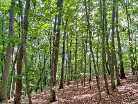 39.2AC Falling Pines Road Dahlonega GA 30533