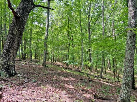 39.2AC Falling Pines Road Dahlonega GA 30533