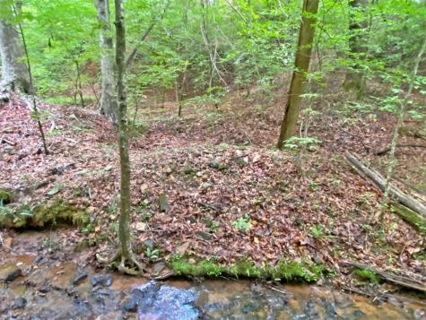 39.2AC Falling Pines Road Dahlonega GA 30533