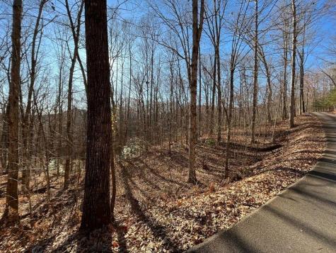 Lot #2 Forest Canopy Way Clayton GA 30525