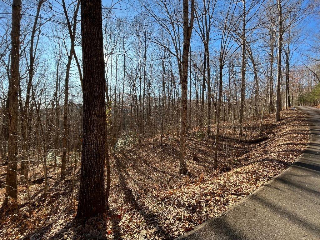 Lot #2 Forest Canopy Way Clayton GA 30525