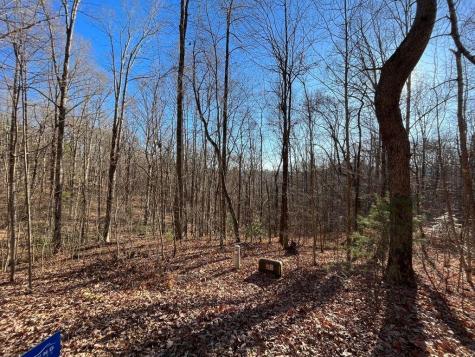 Lot #2 Forest Canopy Way Clayton GA 30525