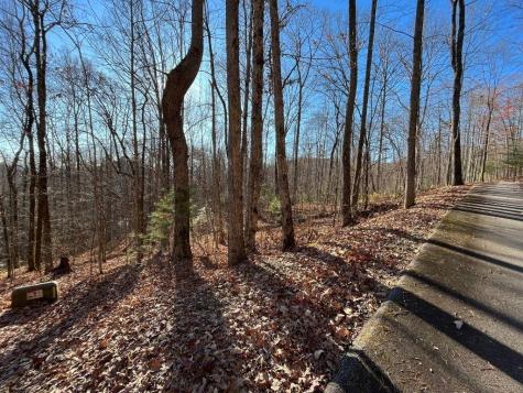 Lot #2 Forest Canopy Way Clayton GA 30525
