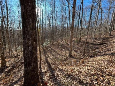 Lot #2 Forest Canopy Way Clayton GA 30525