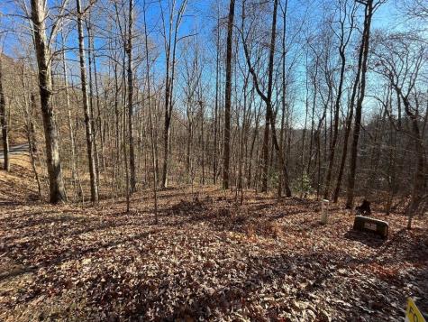 Lot #2 Forest Canopy Way Clayton GA 30525