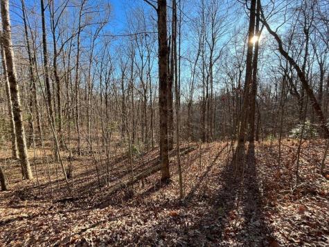 Lot #2 Forest Canopy Way Clayton GA 30525