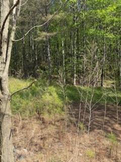 0 Eastside Drive Ellijay GA 30536