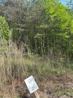 0 Eastside Drive Ellijay GA 30536