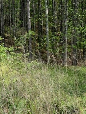0 Eastside Drive Ellijay GA 30536