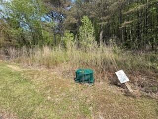 0 Eastside Drive Ellijay GA 30536
