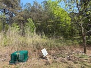 0 Eastside Drive Ellijay GA 30536