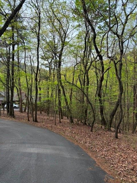 226 Crested Fern Lane Big Canoe GA 30143