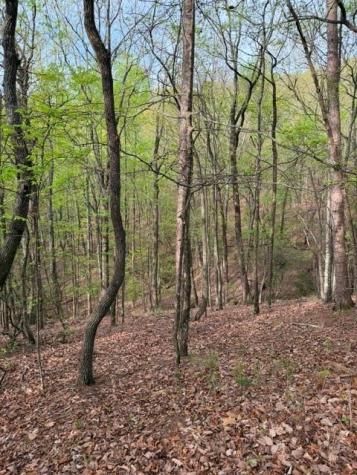 226 Crested Fern Lane Big Canoe GA 30143