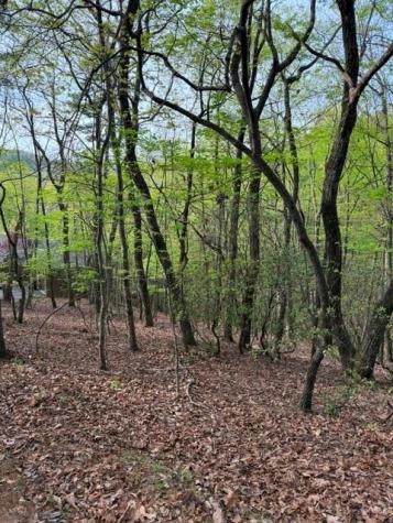 226 Crested Fern Lane Big Canoe GA 30143