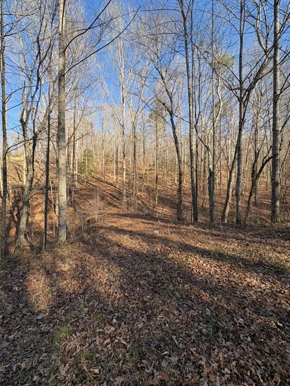 0 Gold View Drive Dahlonega GA 30533