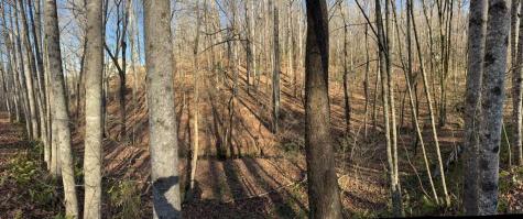 0 Gold View Drive Dahlonega GA 30533