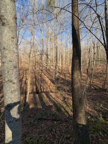 0 Gold View Drive Dahlonega GA 30533