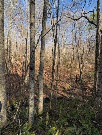 0 Gold View Drive Dahlonega GA 30533