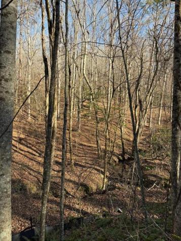 0 Gold View Drive Dahlonega GA 30533