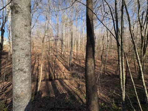 0 Gold View Drive Dahlonega GA 30533