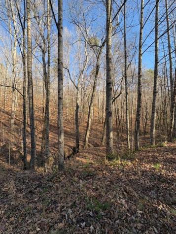 0 Gold View Drive Dahlonega GA 30533