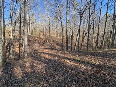 0 Gold View Drive Dahlonega GA 30533