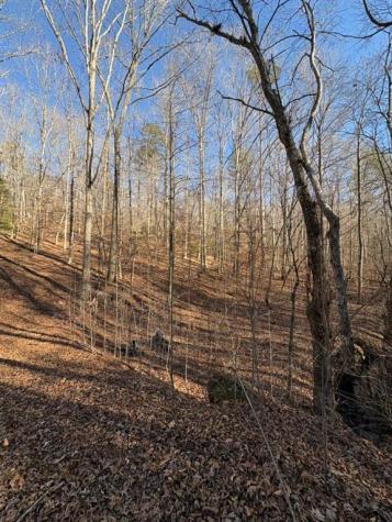 0 Gold View Drive Dahlonega GA 30533