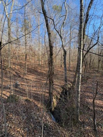 0 Gold View Drive Dahlonega GA 30533