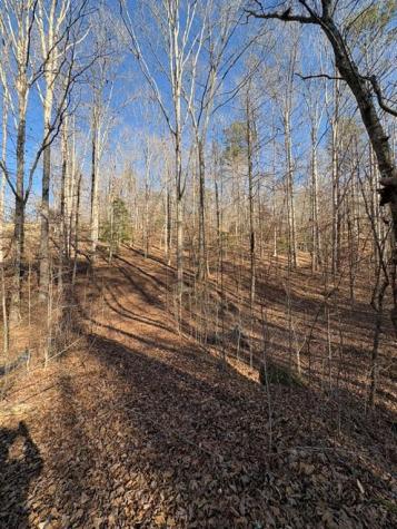 0 Gold View Drive Dahlonega GA 30533