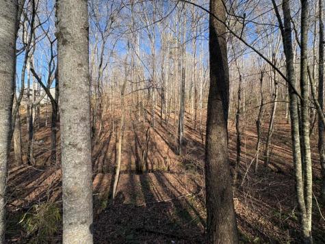 0 Gold View Drive Dahlonega GA 30533
