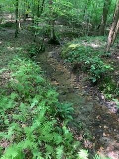 63-65 Deerwood Circle Dahlonega GA 30533