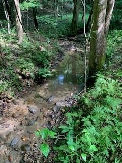 63-65 Deerwood Circle Dahlonega GA 30533