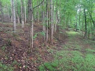 63-65 Deerwood Circle Dahlonega GA 30533