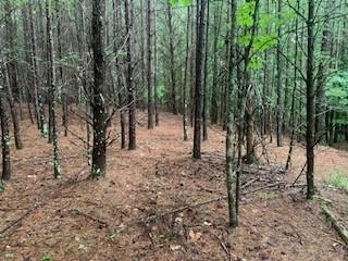 63-65 Deerwood Circle Dahlonega GA 30533