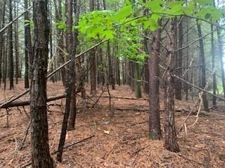 63-65 Deerwood Circle Dahlonega GA 30533