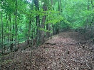 63-65 Deerwood Circle Dahlonega GA 30533