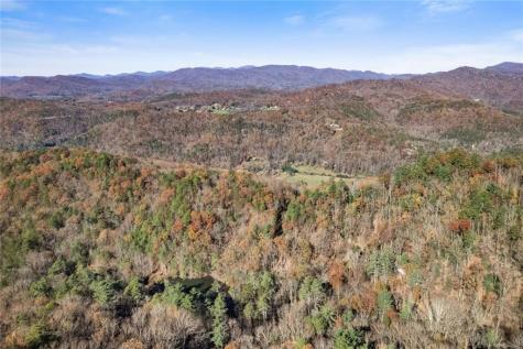 Lot 29 Raven Ridge Road Clayton GA 30525