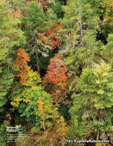 Lot 29 Raven Ridge Road Clayton GA 30525